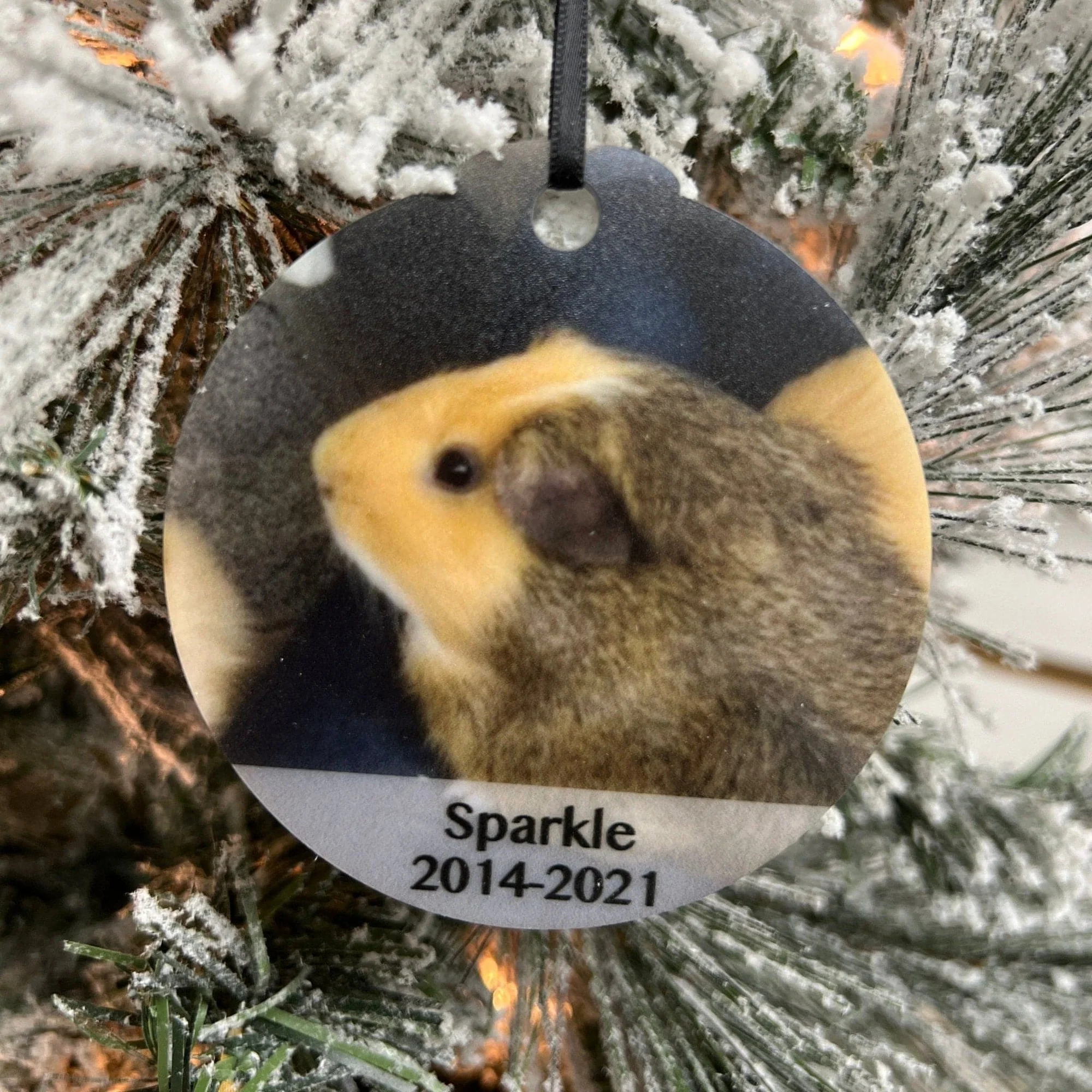Printed Photo Ornaments - Image 6