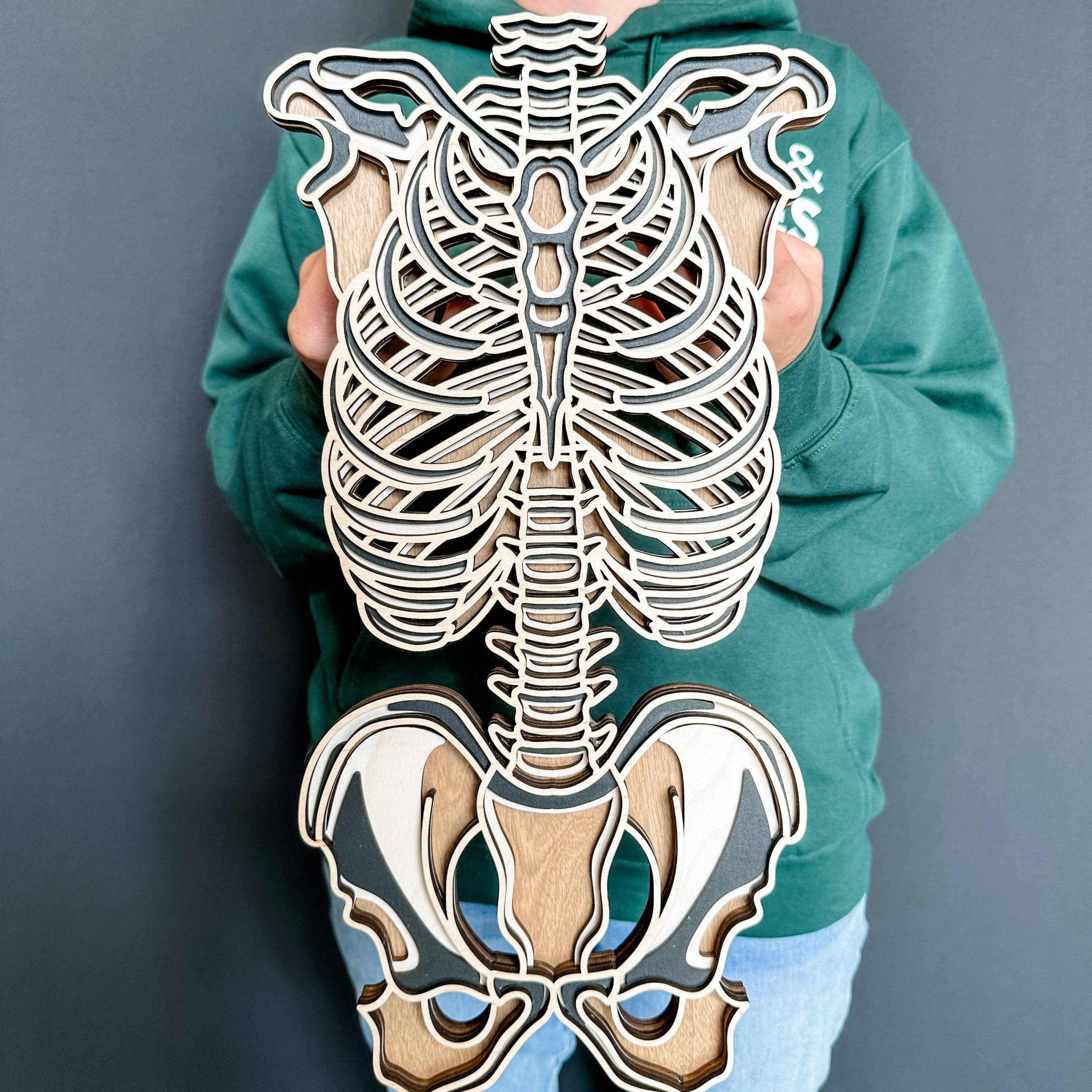 Skeletal Torso Artwork - Image 2